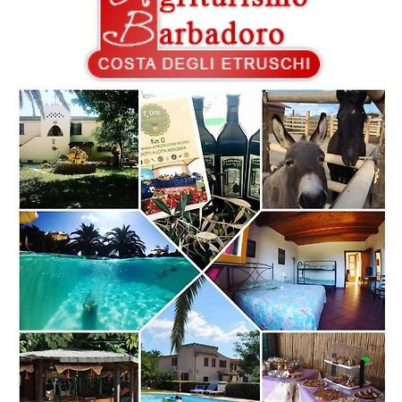 סן וינצ'נזו Agriturismo Barbadoro מראה חיצוני תמונה