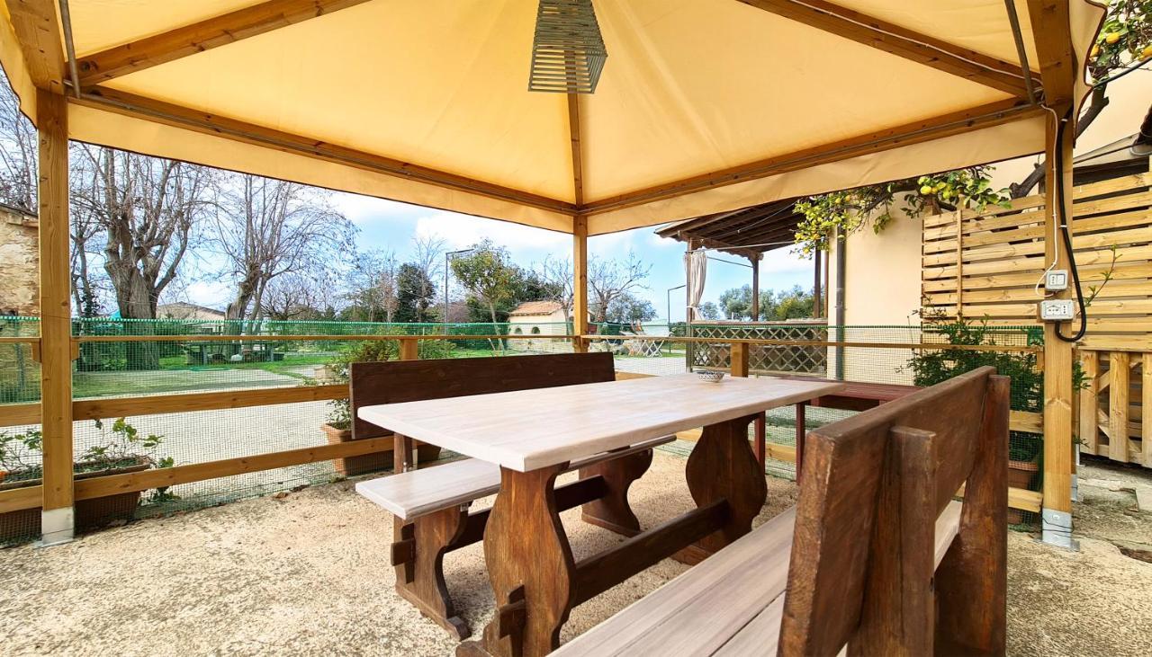 סן וינצ'נזו Agriturismo Barbadoro מראה חיצוני תמונה