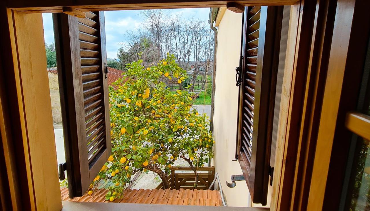 סן וינצ'נזו Agriturismo Barbadoro מראה חיצוני תמונה