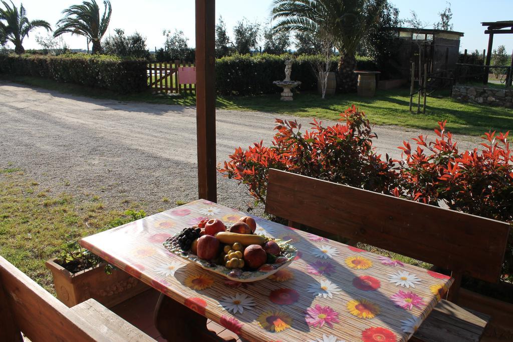 סן וינצ'נזו Agriturismo Barbadoro חדר תמונה