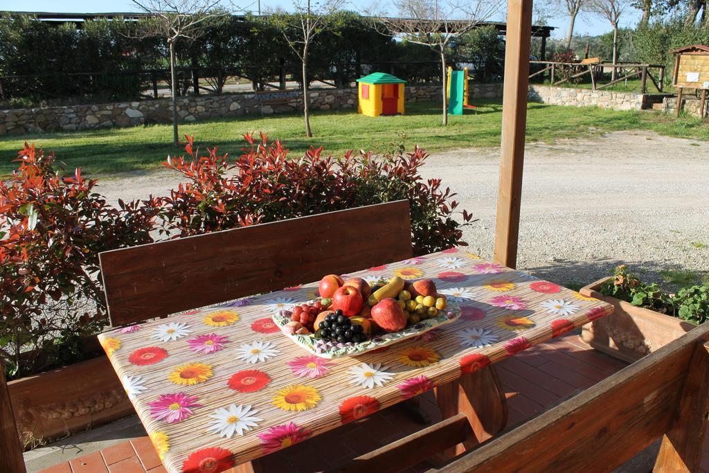 סן וינצ'נזו Agriturismo Barbadoro חדר תמונה