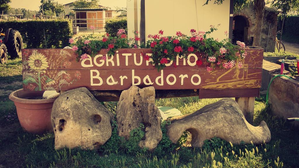 סן וינצ'נזו Agriturismo Barbadoro חדר תמונה