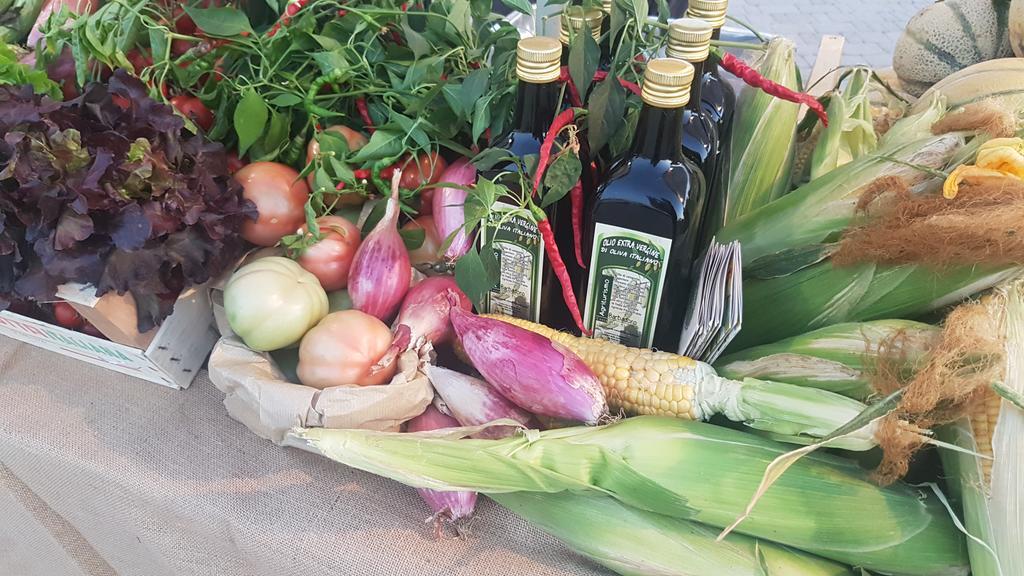 סן וינצ'נזו Agriturismo Barbadoro מראה חיצוני תמונה
