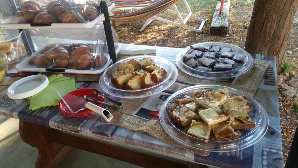 סן וינצ'נזו Agriturismo Barbadoro מראה חיצוני תמונה