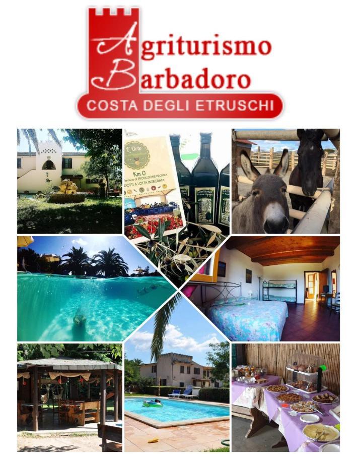 סן וינצ'נזו Agriturismo Barbadoro מראה חיצוני תמונה